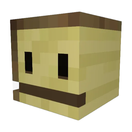 LOTRfan1986 Minecraft avatar head, 3D render