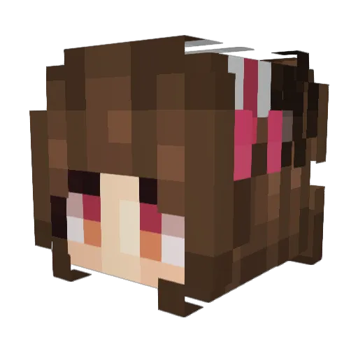 LOTSE256 Minecraft avatar head, 3D render