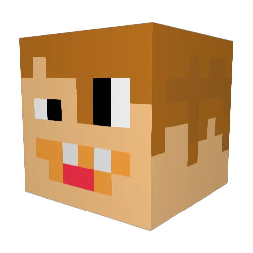 LOUISPOOIE123 Minecraft avatar head, 3D render