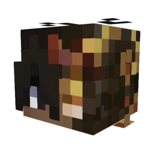 LOVEANDPEACEGUY Minecraft avatar head, 3D render