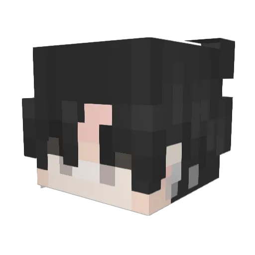 LOWERTOWN Minecraft avatar head, 3D render