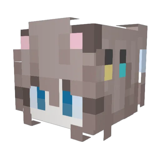 LOY_EN Minecraft avatar head, 3D render