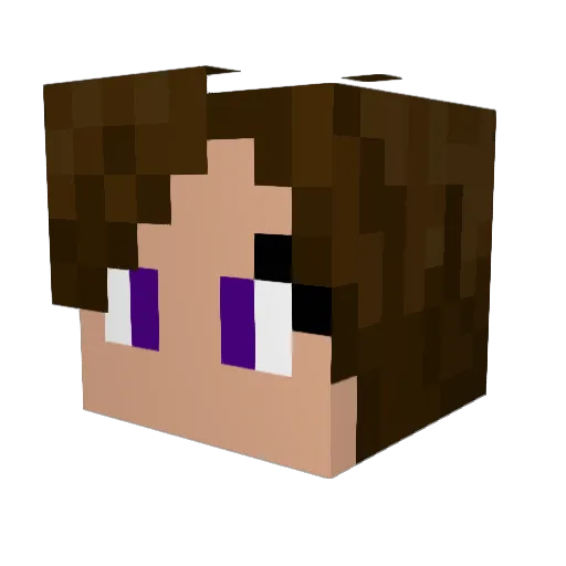 LOZ_W1Z Minecraft avatar head, 3D render