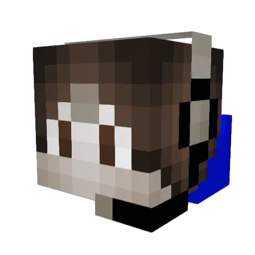 LPG2005 Minecraft avatar head, 3D render