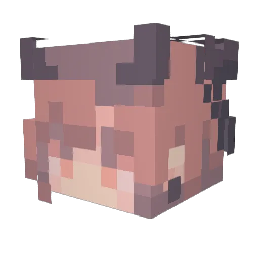 LPPQ Minecraft avatar head, 3D render