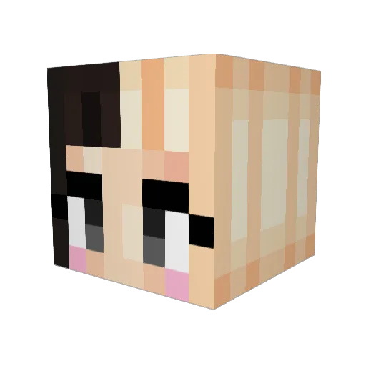 LPSgalaxywolves Minecraft avatar head, 3D render