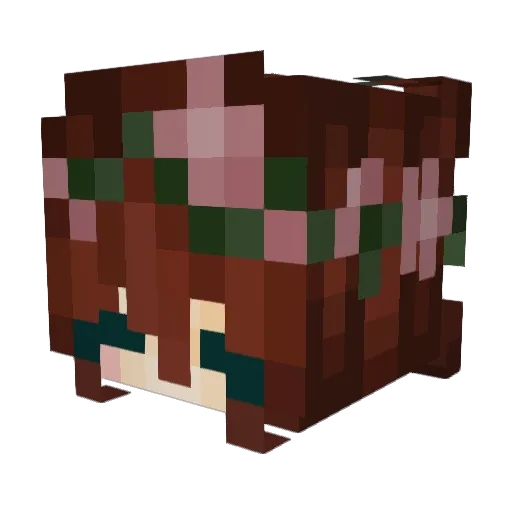 LPSkitten3 Minecraft avatar head, 3D render