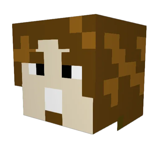 LPSnakeByte Minecraft avatar head, 3D render
