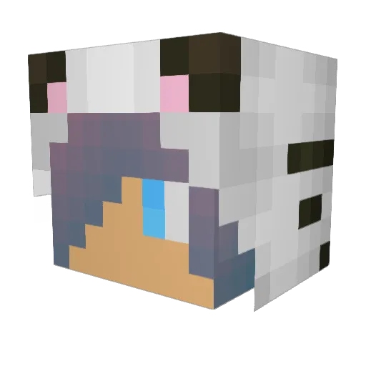 LR355 Minecraft avatar head, 3D render