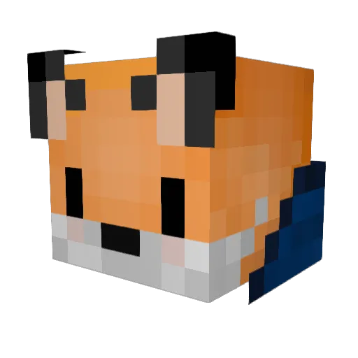 LR_BLZ1N_GUY Minecraft avatar head, 3D render