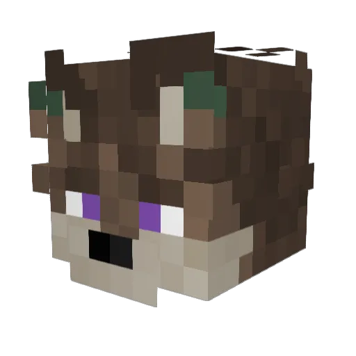 LR_Folfbold Minecraft avatar head, 3D render