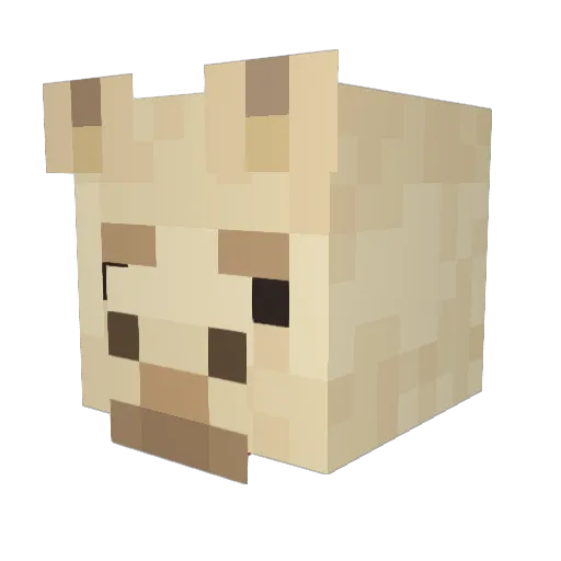 LRustie Minecraft avatar head, 3D render