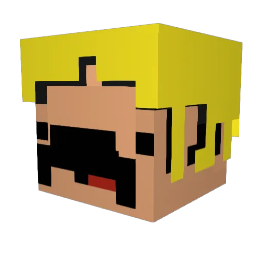 LS2001 Minecraft avatar head, 3D render