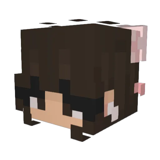 LS55555 Minecraft avatar head, 3D render