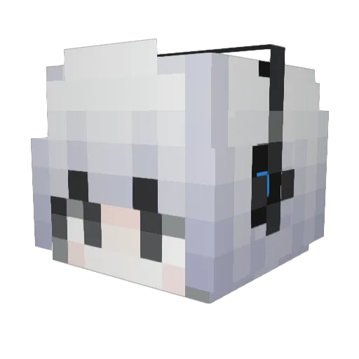 LSLDAODAOA Minecraft avatar head, 3D render