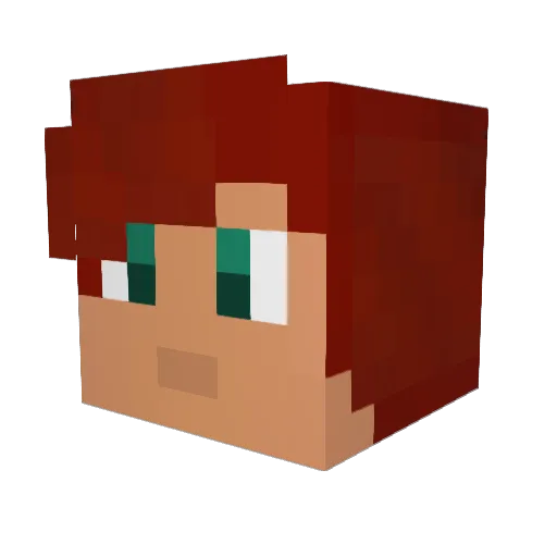 LSNgamer Minecraft avatar head, 3D render
