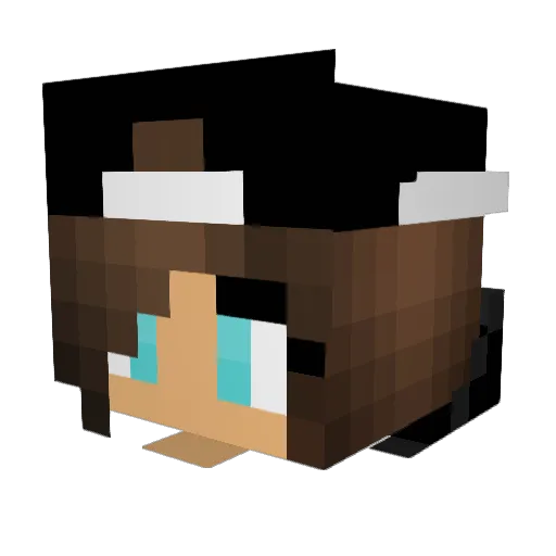 LSPsparkles194 Minecraft avatar head, 3D render