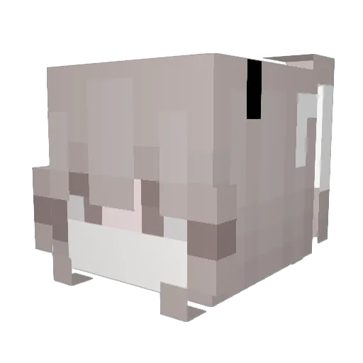 LSR_Fy Minecraft avatar head, 3D render