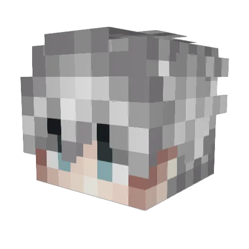 LSR_Hula69 Minecraft avatar head, 3D render