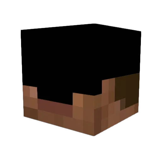 LSV21 Minecraft avatar head, 3D render