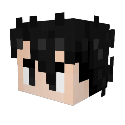 LSViper Minecraft avatar head, 3D render