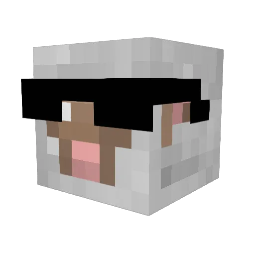 LSYcra Minecraft avatar head, 3D render