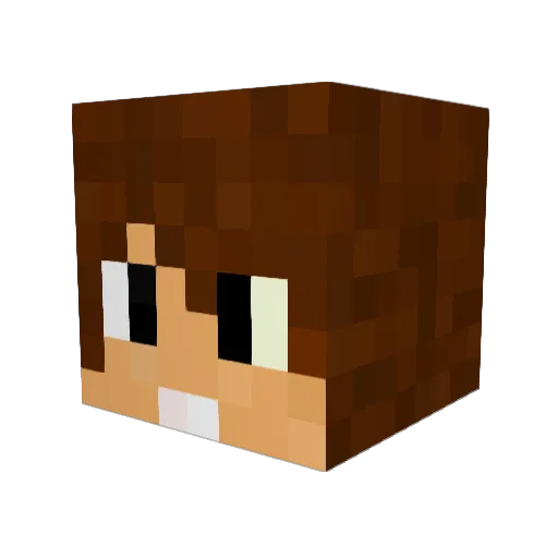 LS_Craft99 Minecraft avatar head, 3D render