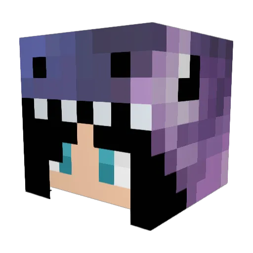 LSkyrme Minecraft avatar head, 3D render
