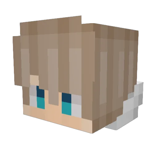 LT5_Burger Minecraft avatar head, 3D render