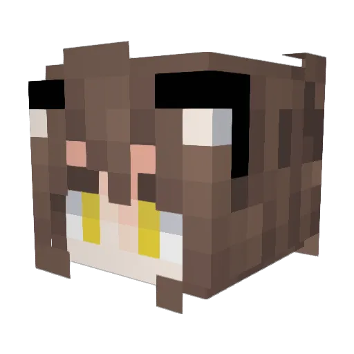 LTCC Minecraft avatar head, 3D render