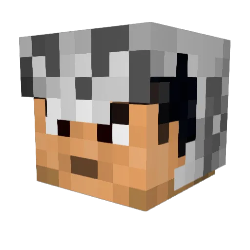 LTCat Minecraft avatar head, 3D render