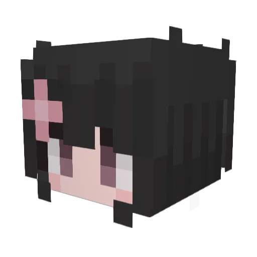 LTCrash Minecraft avatar head, 3D render