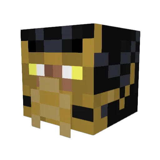 LTCshadowOMEGA Minecraft avatar head, 3D render