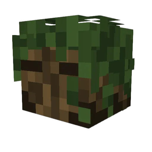 LTF0x Minecraft avatar head, 3D render