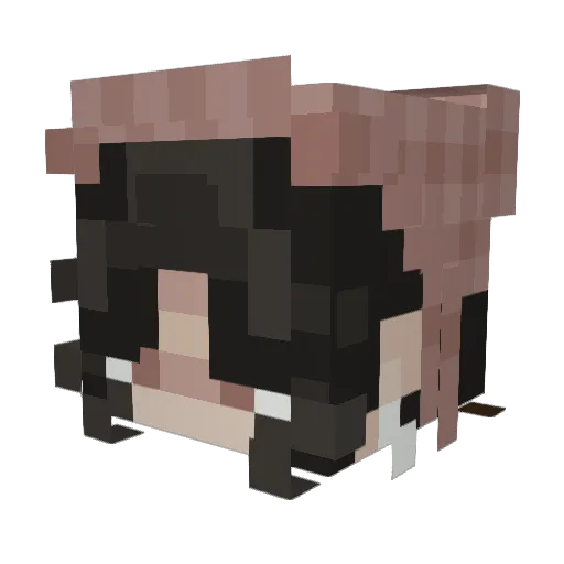 LTFER Minecraft avatar head, 3D render
