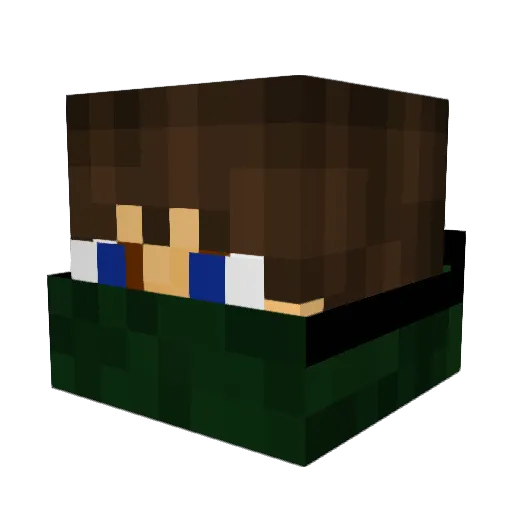 LTNJ Minecraft avatar head, 3D render