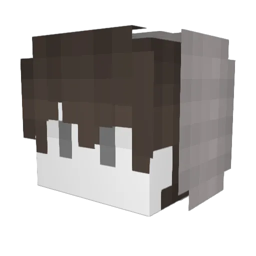 LTY_Ocean16 Minecraft avatar head, 3D render