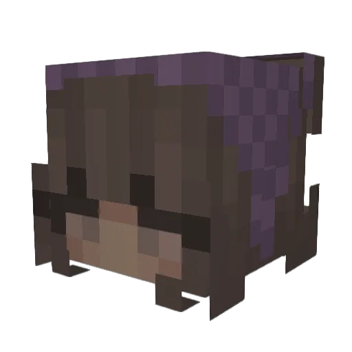 LUCAM01 Minecraft avatar head, 3D render