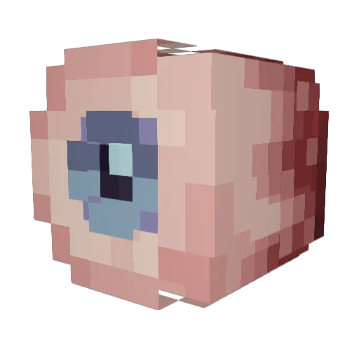 LUCASMEURER Minecraft avatar head, 3D render
