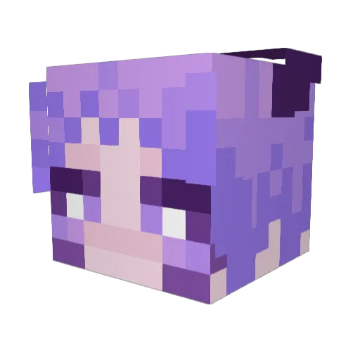 LUCIDIT_Y Minecraft avatar head, 3D render