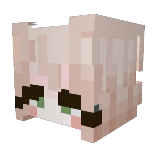 LUCIREI2 Minecraft avatar head, 3D render