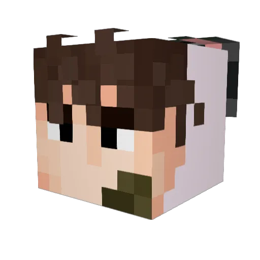 LUCIUS2666 Minecraft avatar head, 3D render