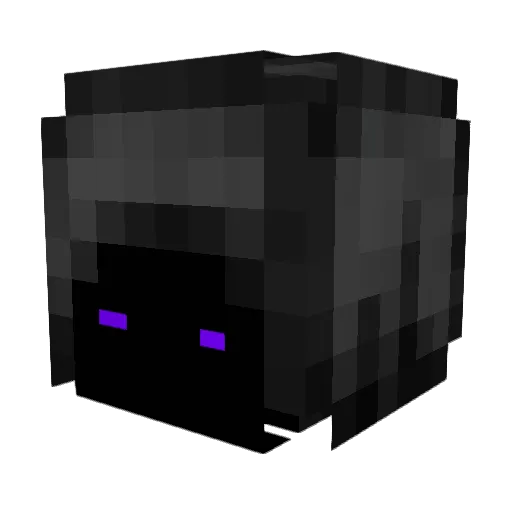 LUCKY341 Minecraft avatar head, 3D render