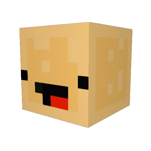 LUCKY_Bagel Minecraft avatar head, 3D render