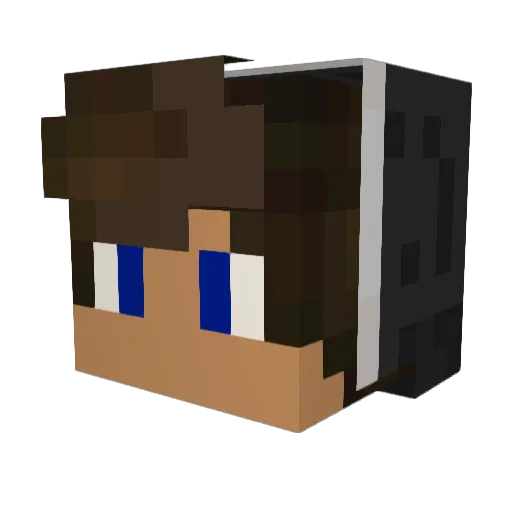 LUCK_CARDS Minecraft avatar head, 3D render