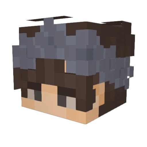 LUCiDS__ Minecraft avatar head, 3D render