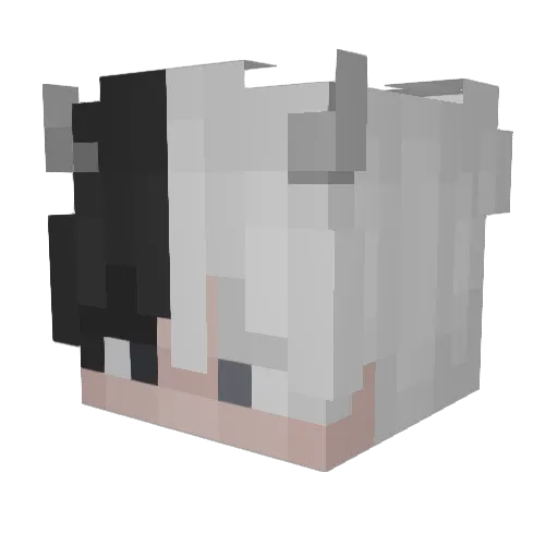 LUFFY_KING_ Minecraft avatar head, 3D render