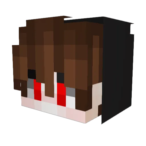 LUGUAN11 Minecraft avatar head, 3D render