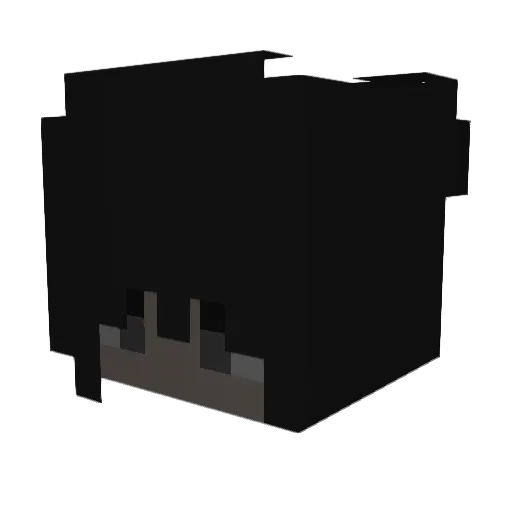 LUKAS102BOYZ Minecraft avatar head, 3D render