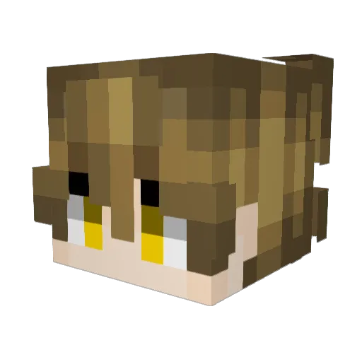 LUMASUN Minecraft avatar head, 3D render